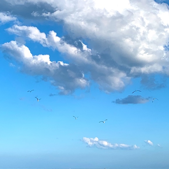 Totally π― open to offers!πΌπͺ΄π± - Picture 2 of 2